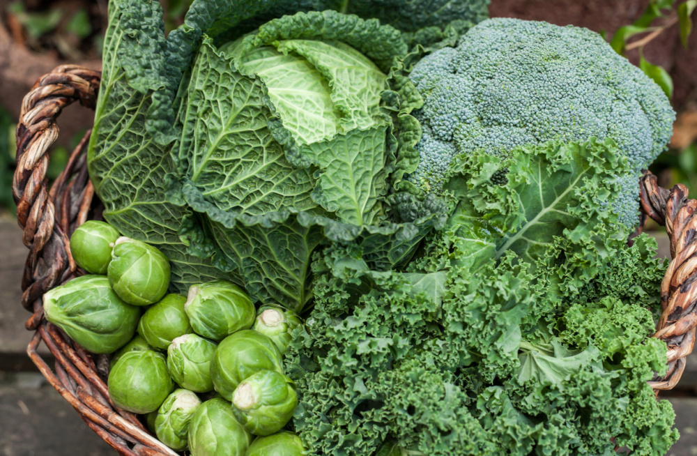 menopausia-cruciferas-cfo-4_1-1000x654-resize